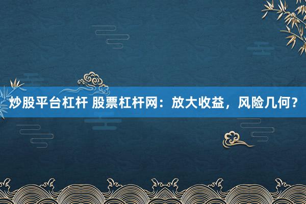 炒股平台杠杆 股票杠杆网：放大收益，风险几何？