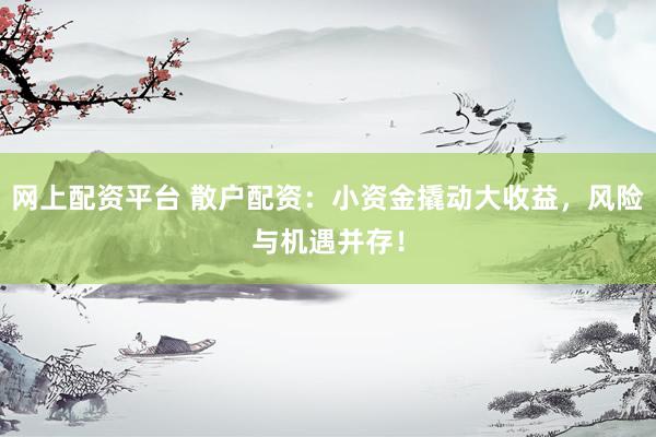 网上配资平台 散户配资：小资金撬动大收益，风险与机遇并存！