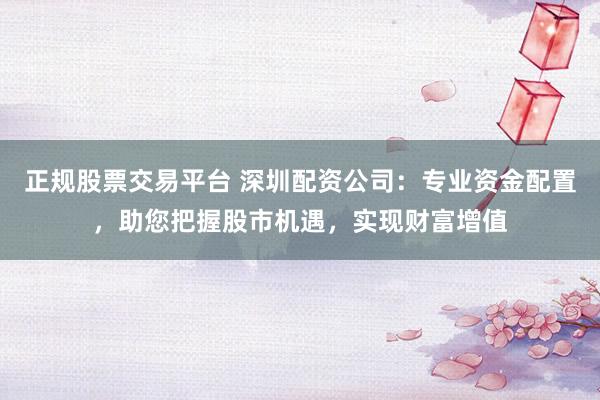 正规股票交易平台 深圳配资公司：专业资金配置，助您把握股市机遇，实现财富增值