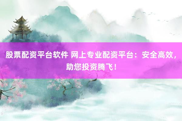 股票配资平台软件 网上专业配资平台：安全高效，助您投资腾飞！