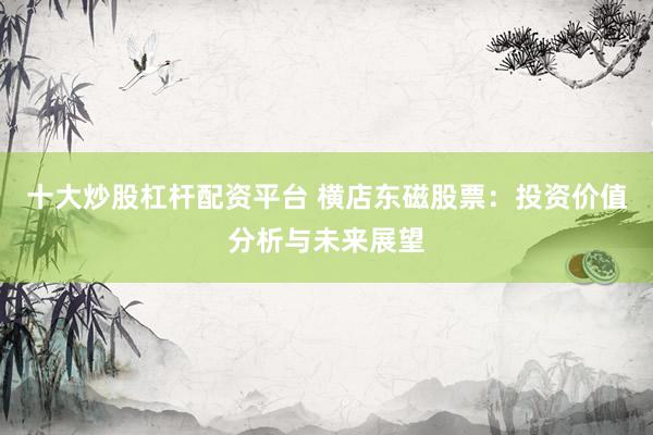 十大炒股杠杆配资平台 横店东磁股票：投资价值分析与未来展望