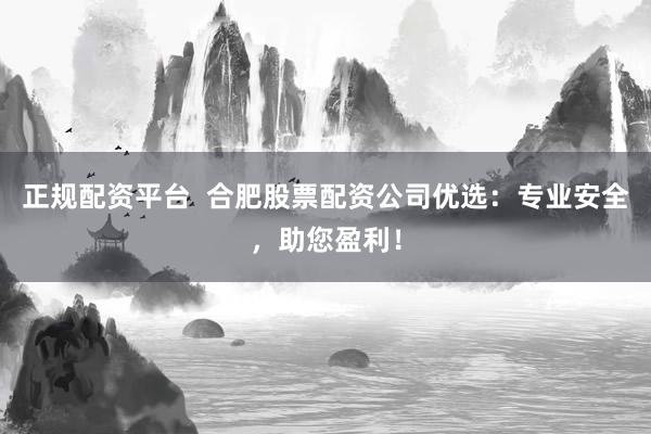 正规配资平台  合肥股票配资公司优选：专业安全，助您盈利！