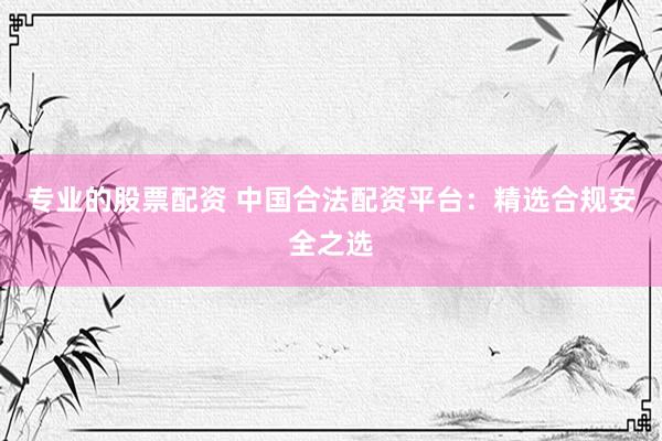 专业的股票配资 中国合法配资平台：精选合规安全之选