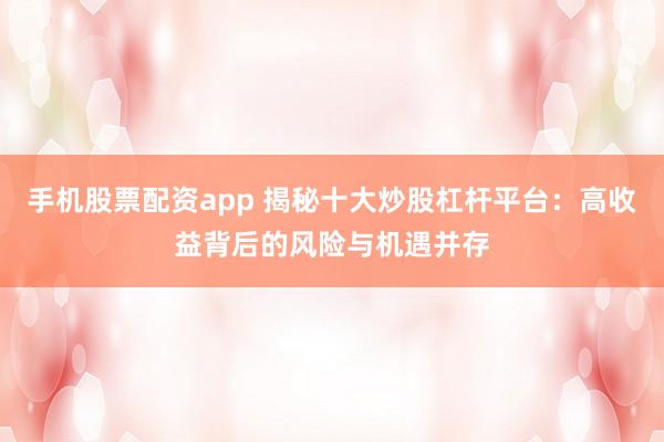 手机股票配资app 揭秘十大炒股杠杆平台：高收益背后的风险与机遇并存