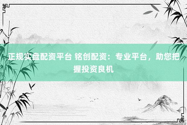 正规实盘配资平台 铭创配资：专业平台，助您把握投资良机