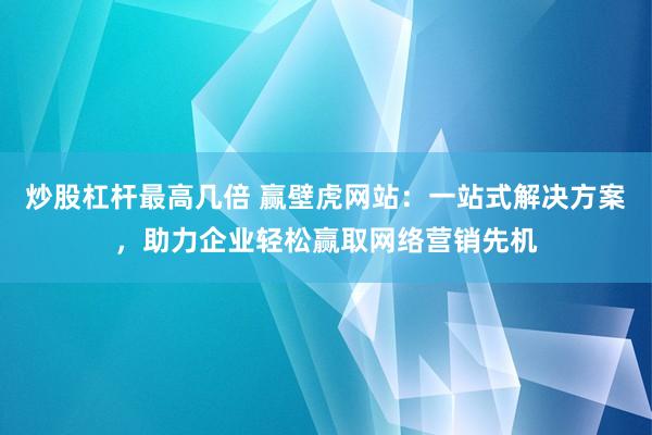 炒股杠杆最高几倍 赢壁虎网站：一站式解决方案，助力企业轻松赢取网络营销先机