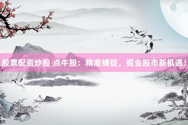 股票配资炒股 点牛股：精准捕捉，掘金股市新机遇！