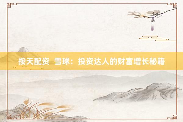 按天配资  雪球：投资达人的财富增长秘籍