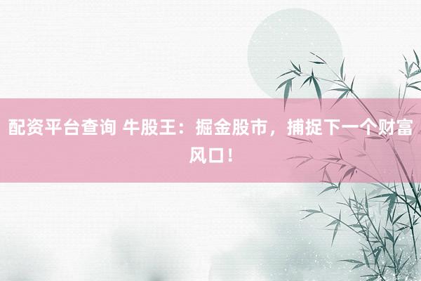 配资平台查询 牛股王：掘金股市，捕捉下一个财富风口！
