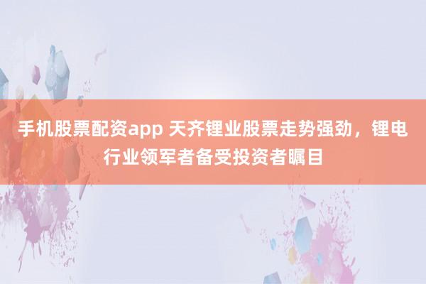 手机股票配资app 天齐锂业股票走势强劲，锂电行业领军者备受投资者瞩目