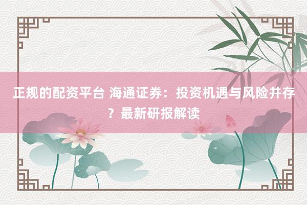 正规的配资平台 海通证券：投资机遇与风险并存？最新研报解读