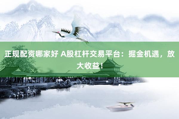 正规配资哪家好 A股杠杆交易平台：掘金机遇，放大收益！