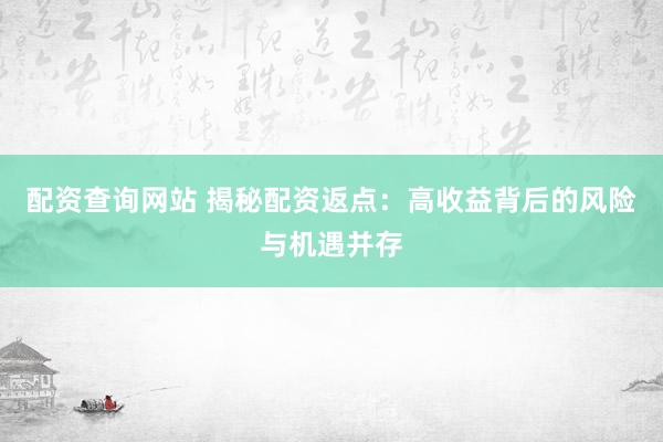 配资查询网站 揭秘配资返点：高收益背后的风险与机遇并存