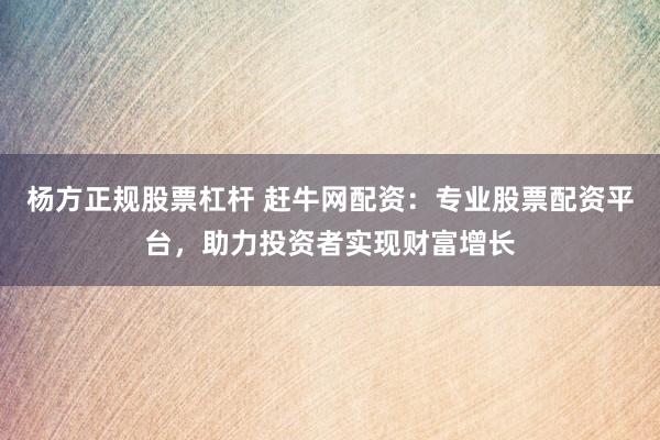 杨方正规股票杠杆 赶牛网配资:专业股票配资平台,助力投资者实现财富增长