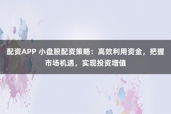 配资APP 小盘股配资策略：高效利用资金，把握市场机遇，实现投资增值