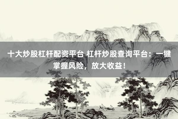 十大炒股杠杆配资平台 杠杆炒股查询平台：一键掌握风险，放大收益！