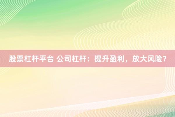 股票杠杆平台 公司杠杆：提升盈利，放大风险？